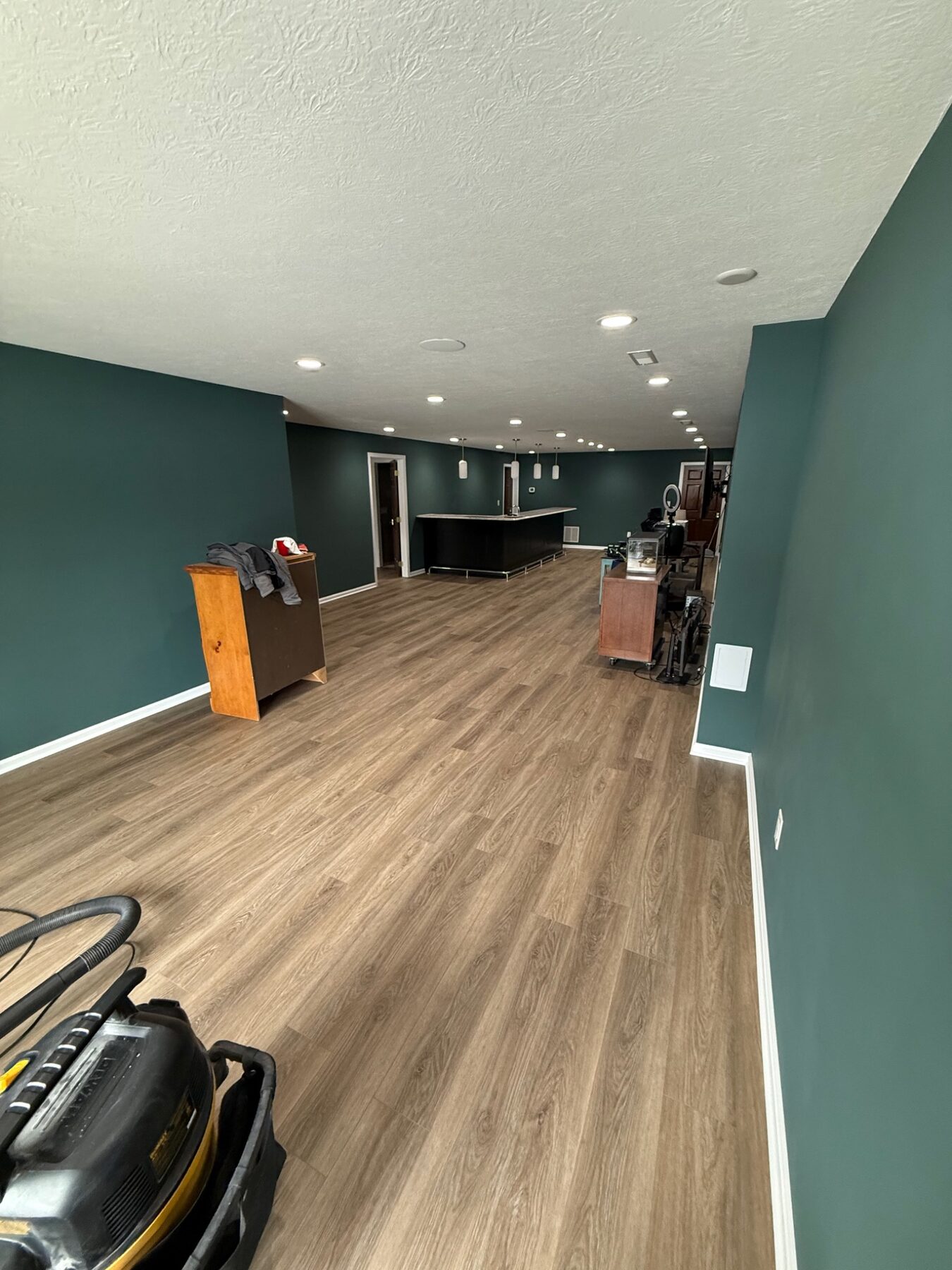 Large finished lower level with new flooring, painted walls and recessed lights