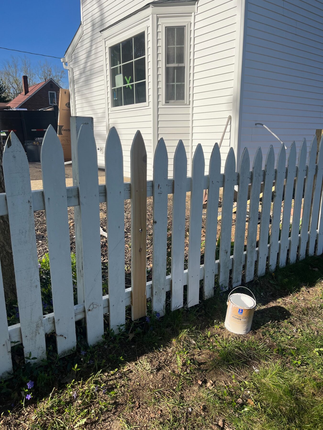 Replacement picket fitted during a wood fence repair